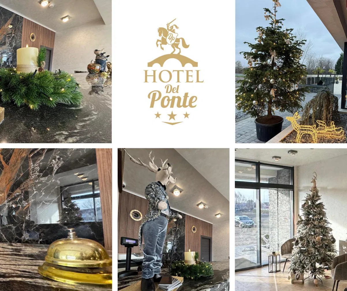 Hotel Del Ponte